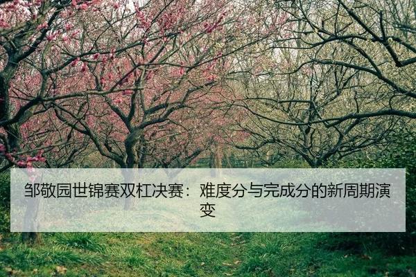 zou-jing-yuan-shi-jin-sai-shuang-gang-jue-sai-nan-du-fen-yu-wan-cheng-fen-de-xin-zhou-qi-yan-bian-2-734.jpg