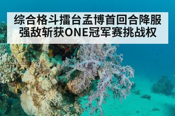 综合格斗擂台孟博首回合降服强敌斩获ONE冠军赛挑战权